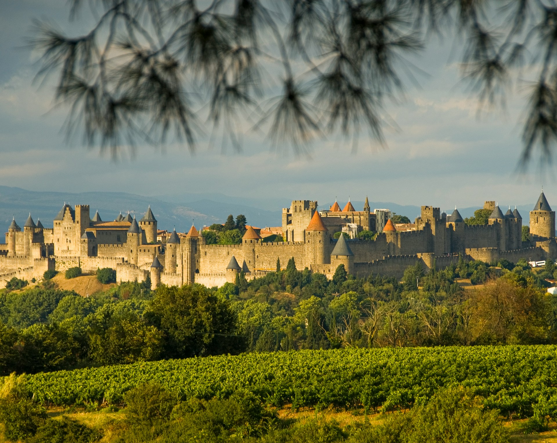 Vue sur Carcassonne